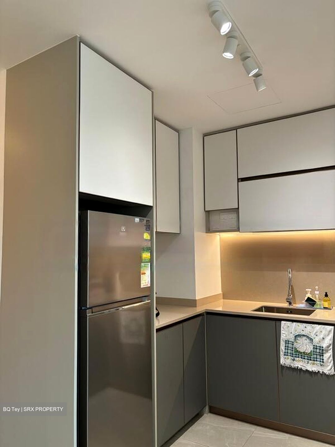 Normanton Park (D5), Apartment #450052511